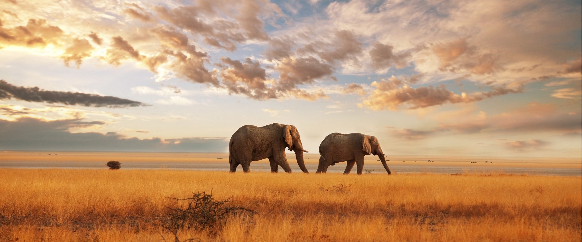 2 Days / 1 Night Safari (Tsavo East)