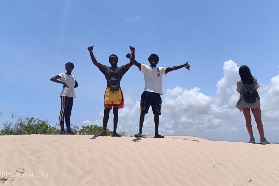 Safari Horizon Vacation Package: Transfers, Accommodation, and Amazing Adventures!