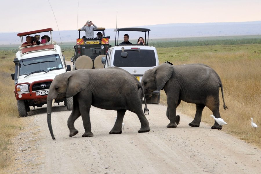 4-day safari (Tsavo East, West, Amboseli)