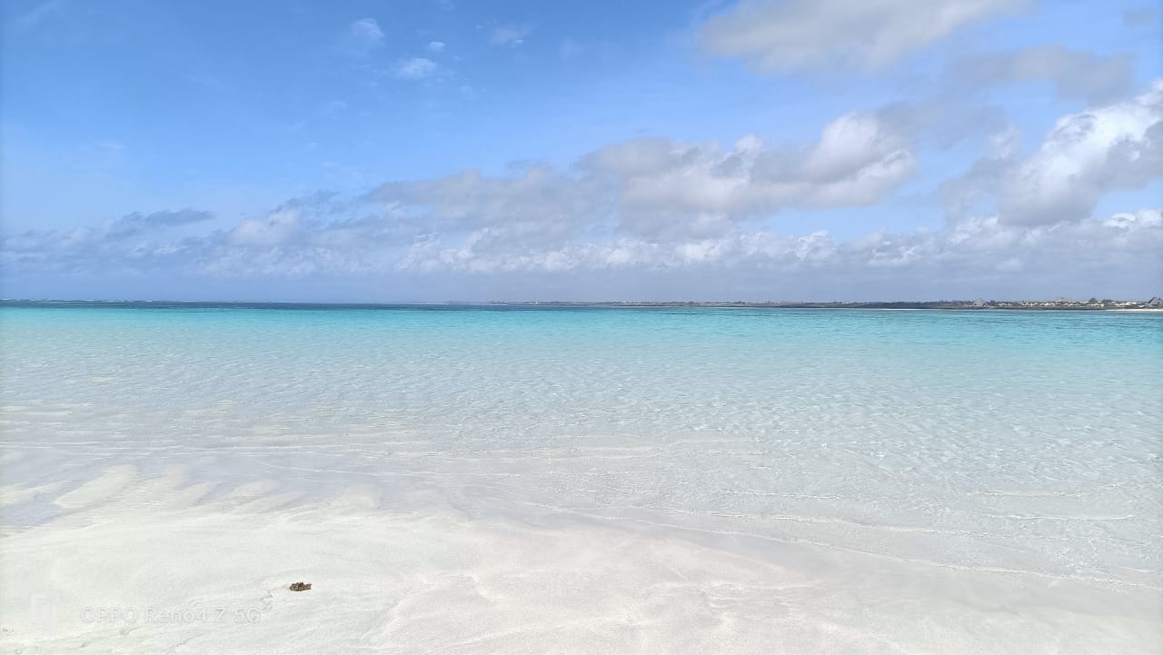 Blue Safari (Sardinia 2)