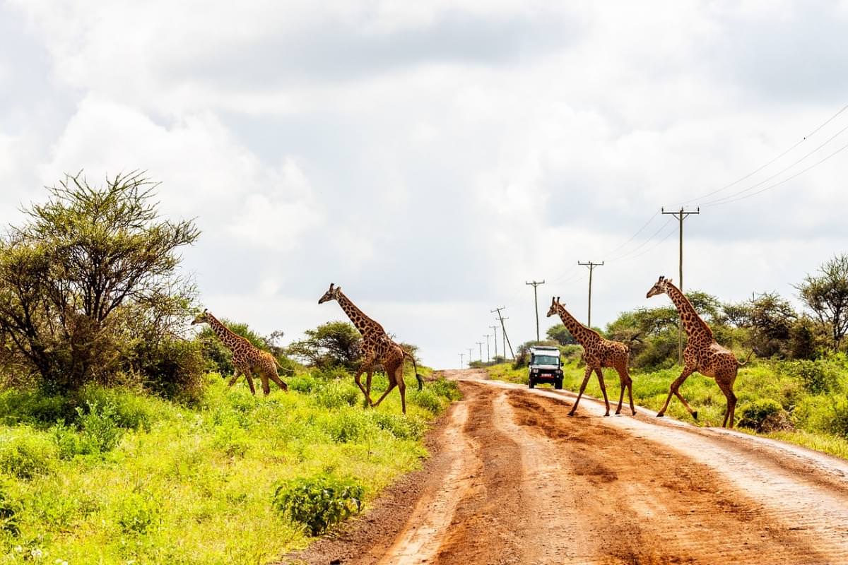 5-Day Safari (Tsavo East/West, Taita Hills, Amboseli)