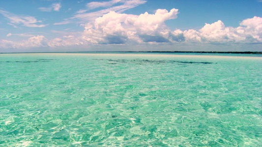 Blue Safari (Sardinia 2)