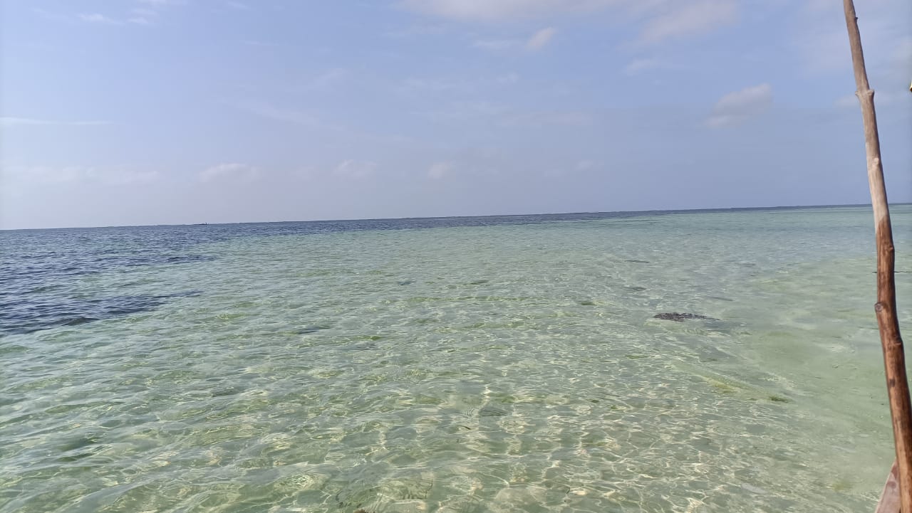 Robinson Island + Golden Beach