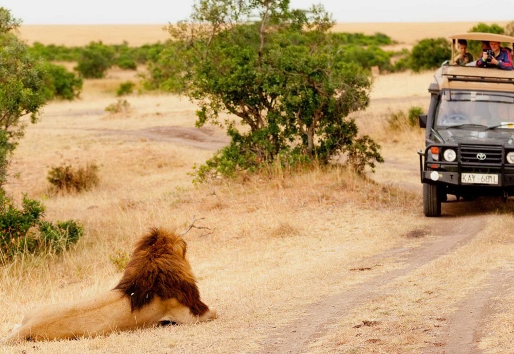 3-day / 2-night safari (Tsavo East & Taita Hills)