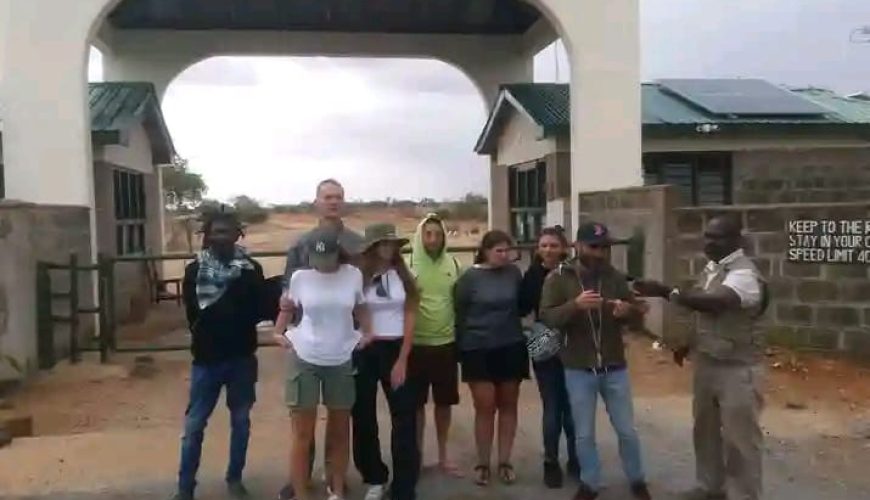 Tips for a Safari in Kenya